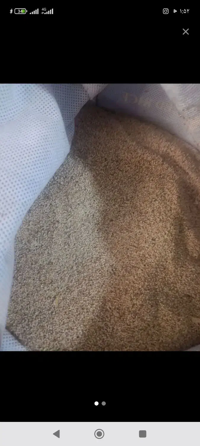 بذر عالی|گل و گیاه طبیعی|الیگودرز, |دیوار