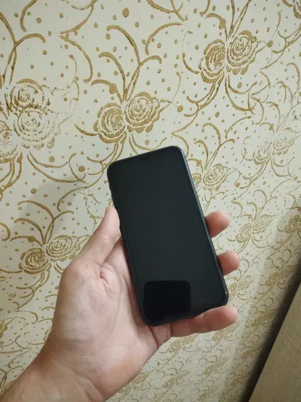 آیفون ۱۱ پک اصلی|موبایل|قزوین, |دیوار