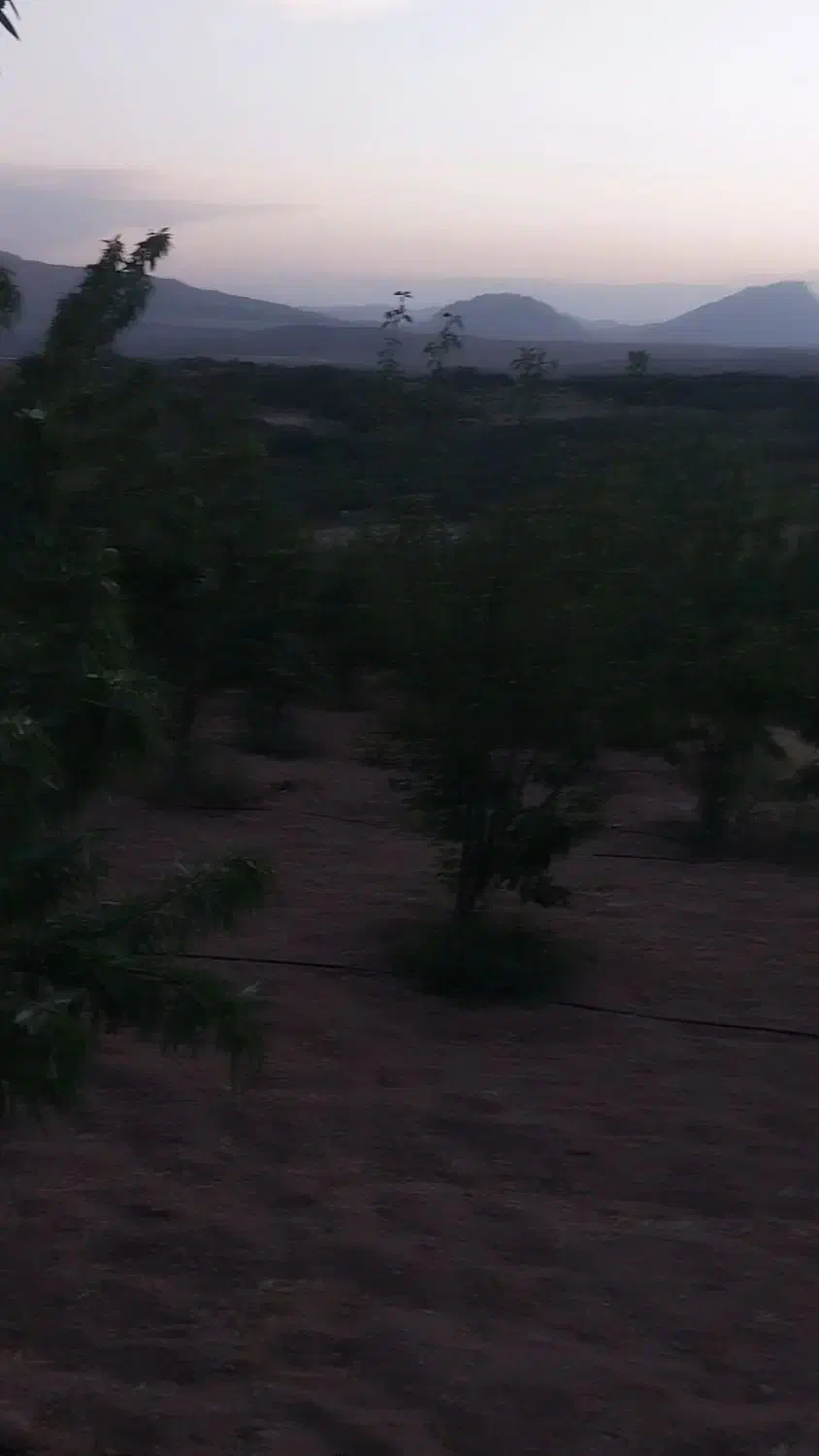 فروش زمین کشاورزی|فروش زمین و ملک کلنگی|زاینده رود, |دیوار