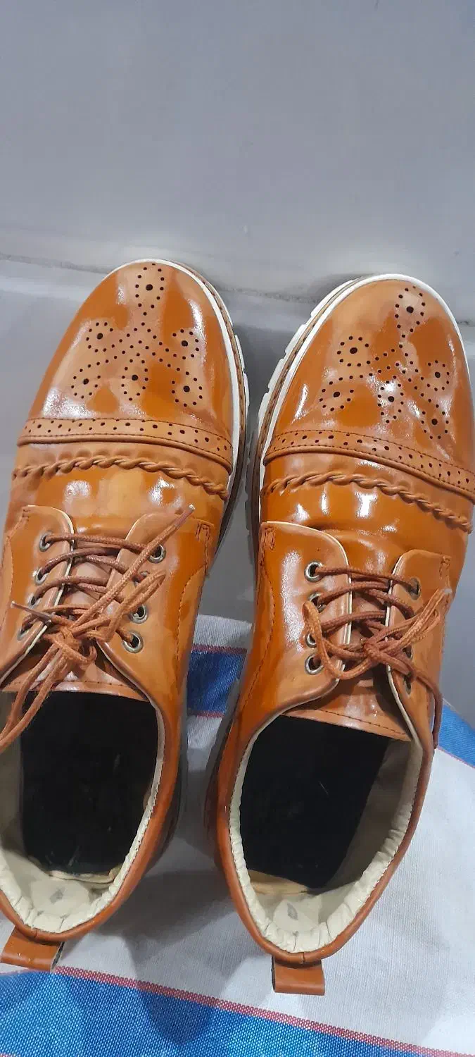 کفش ش ۴۲|کیف، کفش، کمربند|شوش, |دیوار