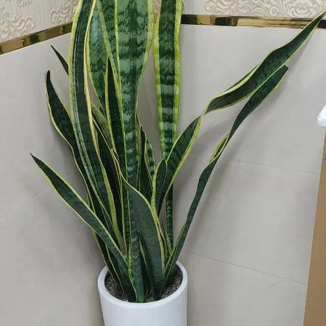 جویای کار|فعالیت داوطلبانه|میناب, |دیوار