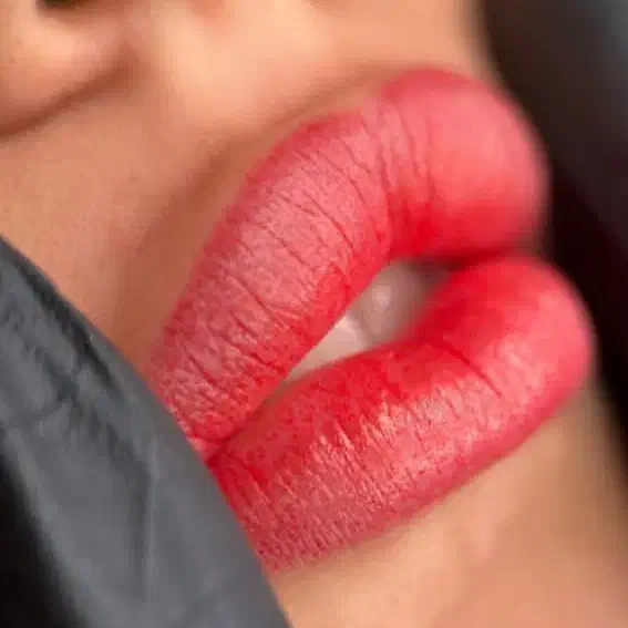 شیدینگ لب،تینت لب دائم|خدمات آرایشگری و زیبایی|تربتحیدریه, مظفریه|دیوار