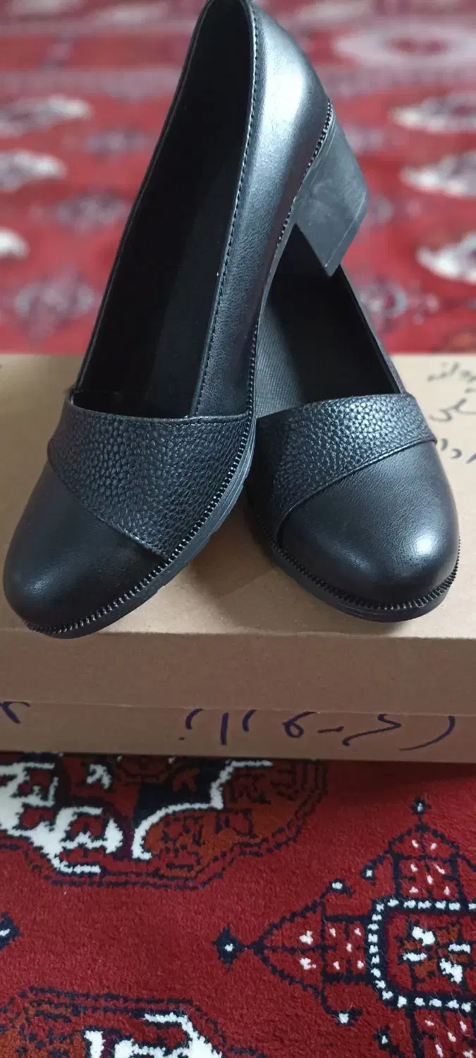 کالج زنانه|کیف، کفش، کمربند|گنبد کاووس, |دیوار