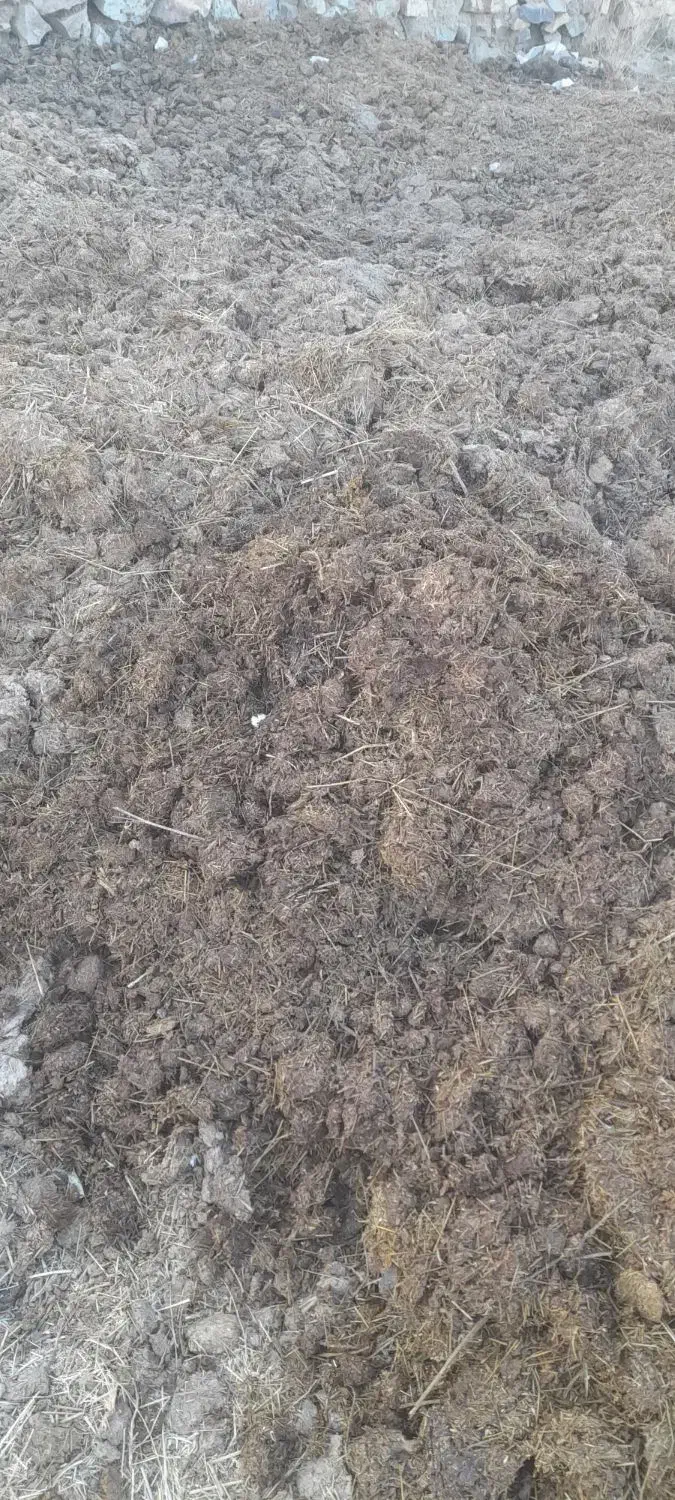 کود حیوانی  .|خدمات باغبانی و درختکاری|کلاترزان, |دیوار