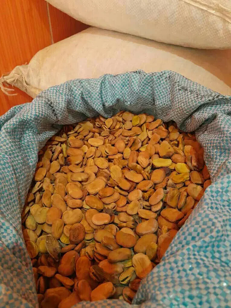 باقله شاخ بزی|خدمات باغبانی و درختکاری|گتوند, |دیوار