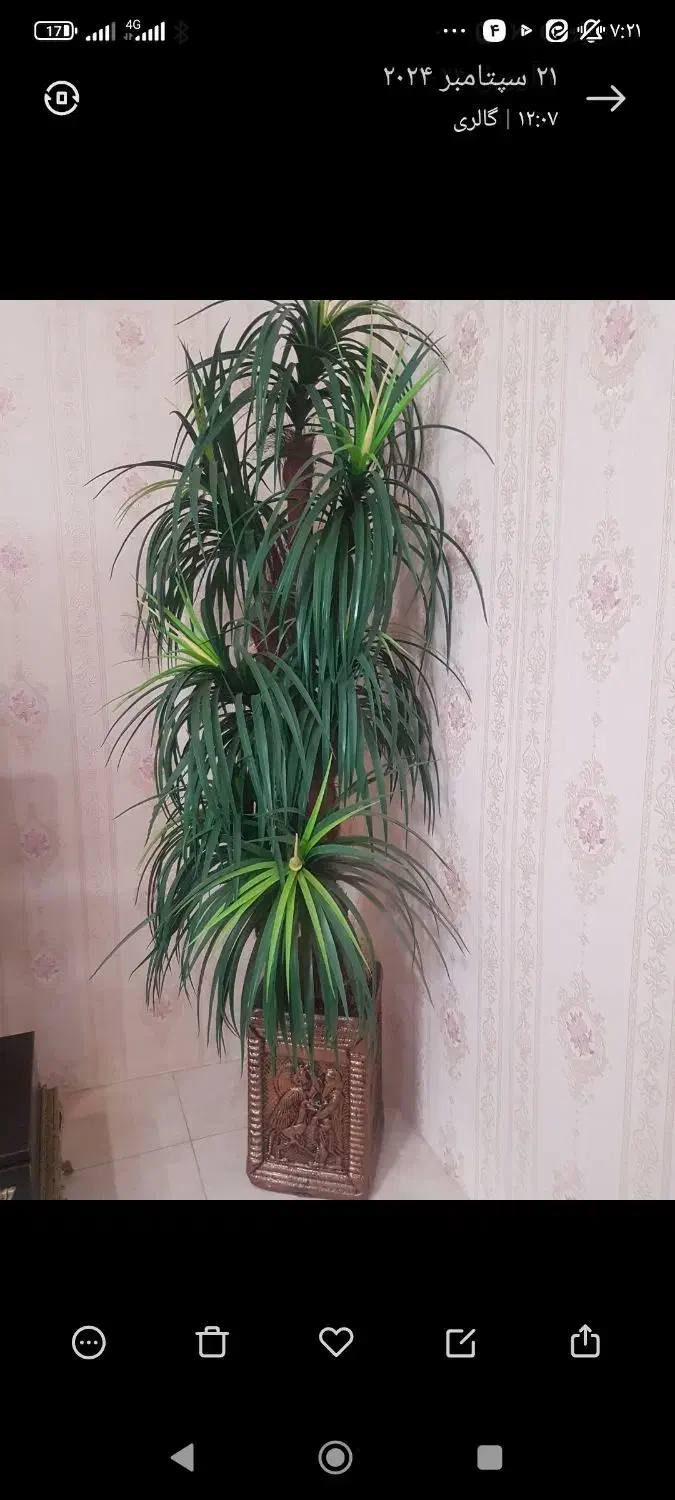 درخت مصنوعی نخل و شبخواب|گل مصنوعی|خرمآباد, |دیوار