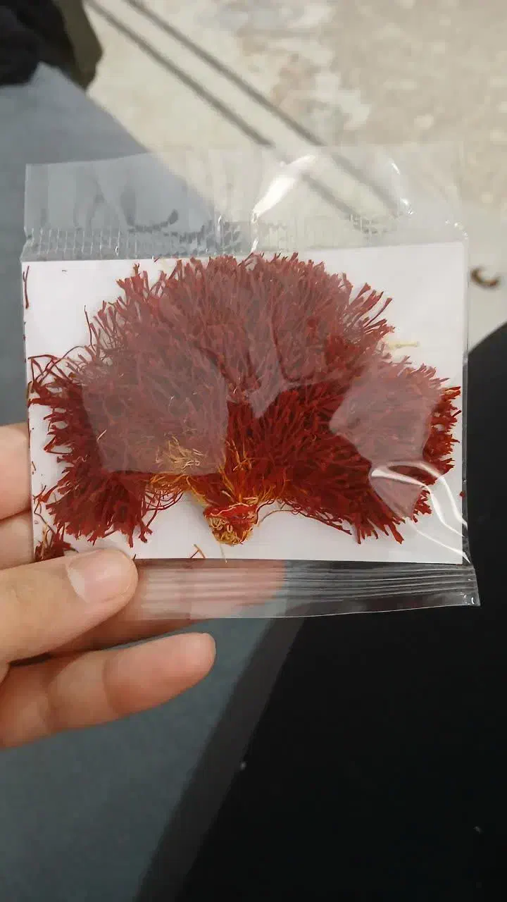 زعفران|خوردنی و آشامیدنی|بیرجند, |دیوار