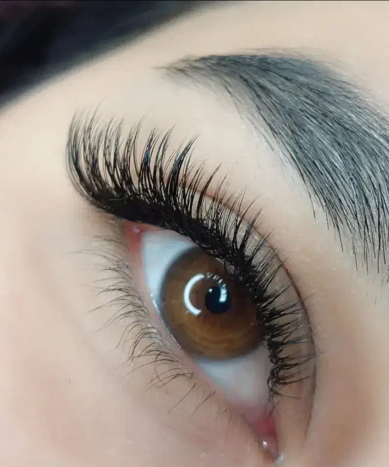 مدل اکستنشن مژه لیفت ابرو و مژه|خدمات آرایشگری و زیبایی|اردبیل, |دیوار