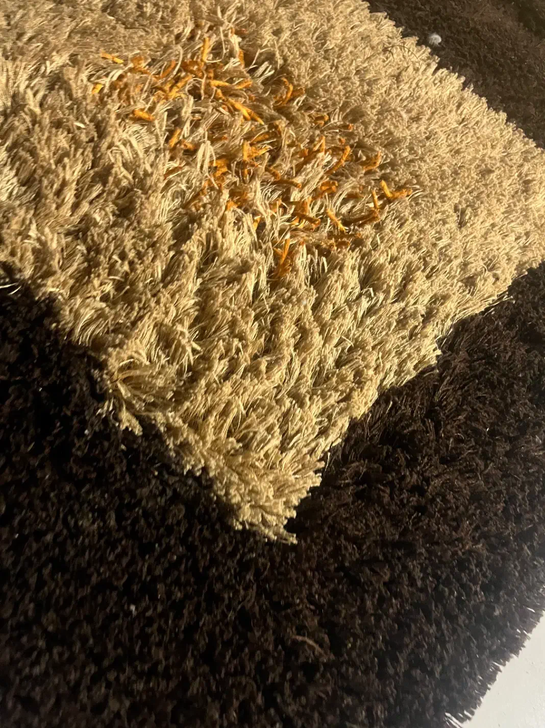 فرش شش متری|فرش|مشهد, شهرک رازی (شهرک غرب)|دیوار