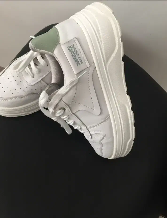 کفش|کیف، کفش، کمربند|مشهد, سجاد شهر|دیوار