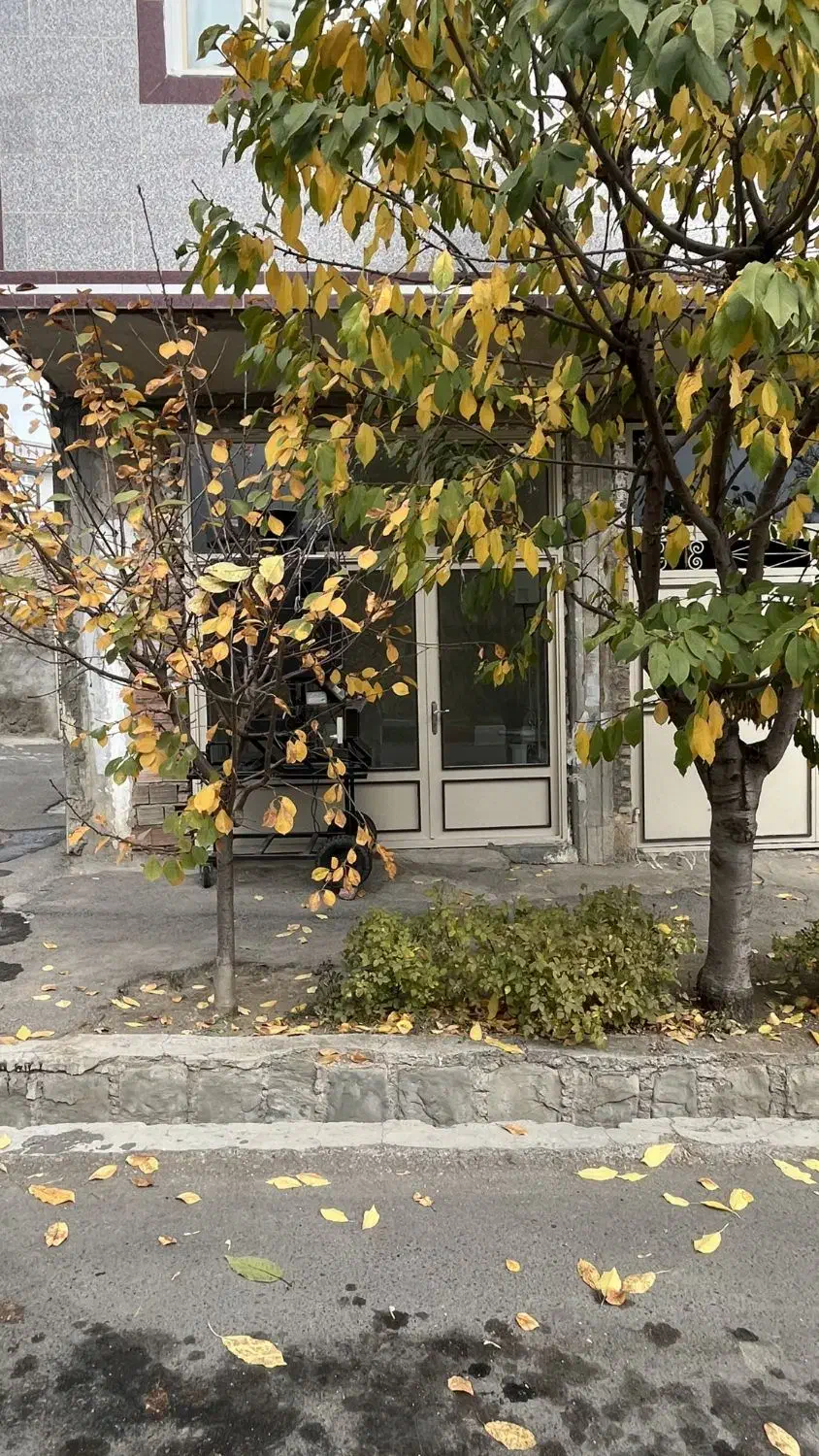 اجاره مغازه|اجارهٔ مغازه و غرفه|هوراند, |دیوار