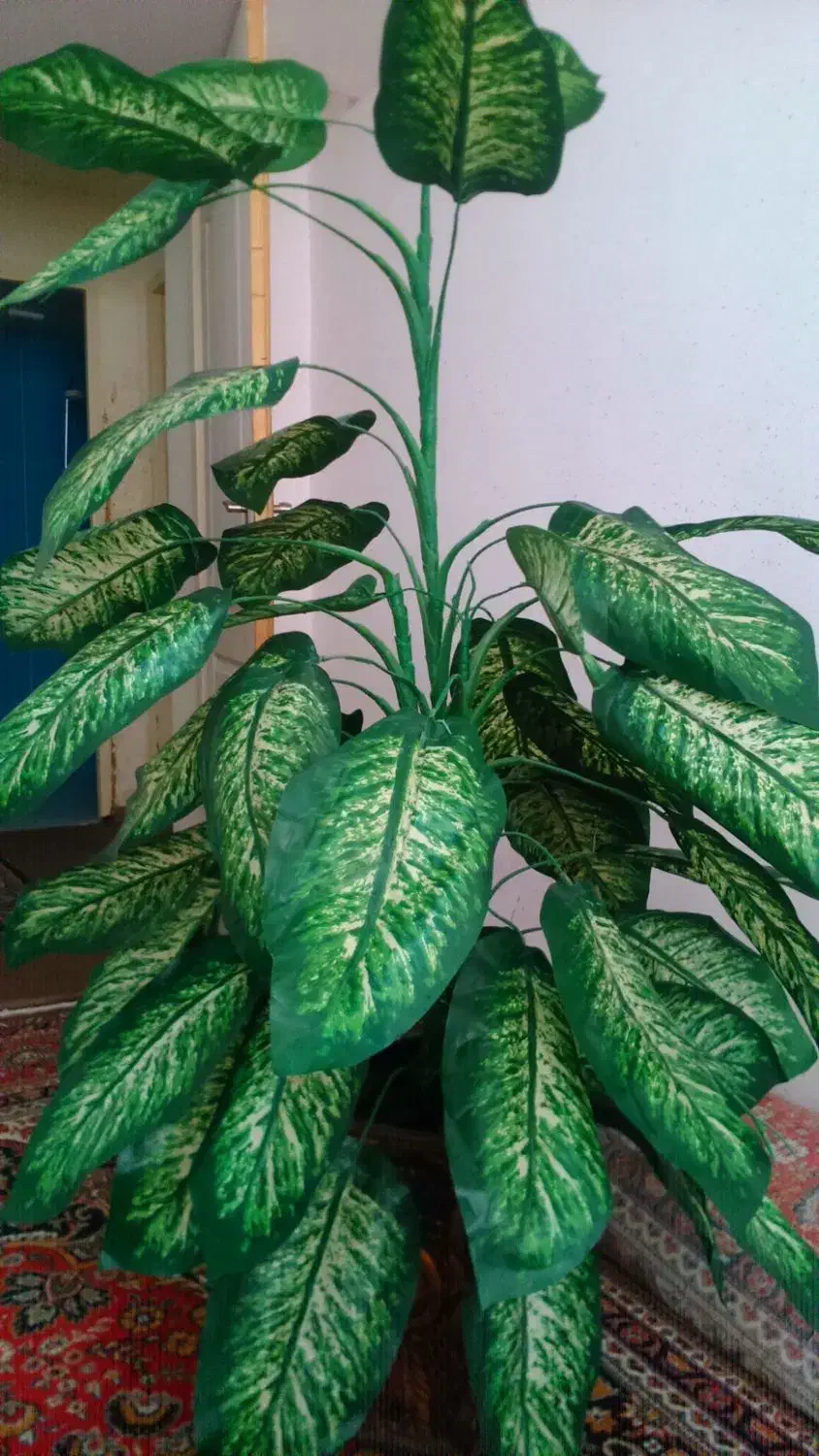 درختچه مصنوعی گل|گل مصنوعی|شیراز, کوزه گری|دیوار