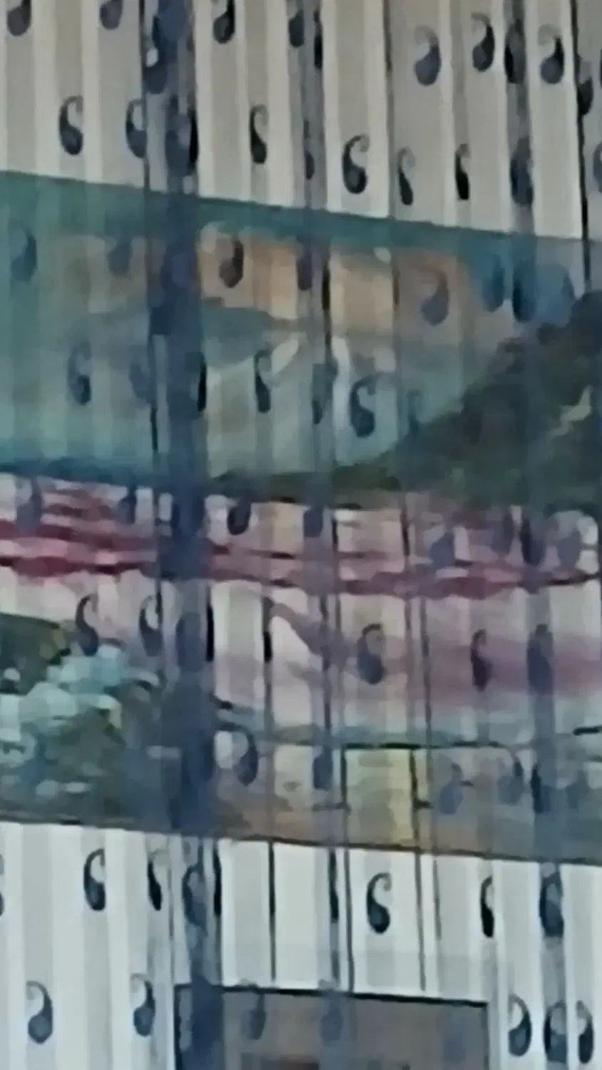 پرده ریسه ای|پرده، رانر، رومیزی|شهرکرد, |دیوار