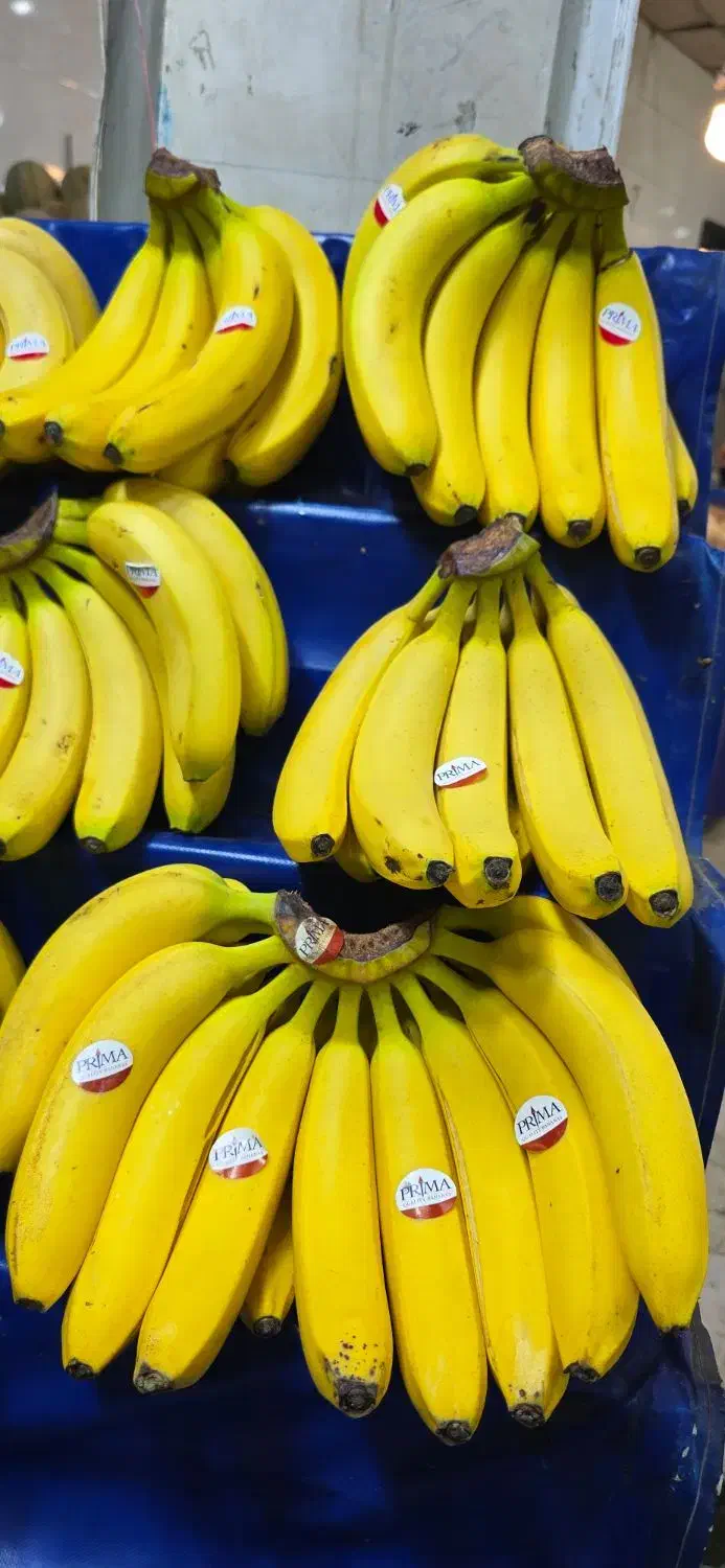 کارگر میوه فروشی|استخدام خدمات فروشگاه و رستوران|قم, شهرک امام حسین|دیوار