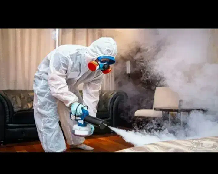 سمپاشی ساس و سوک وسایر جانوران موزی|خدمات نظافت|مشهد, کلاهدوز|دیوار