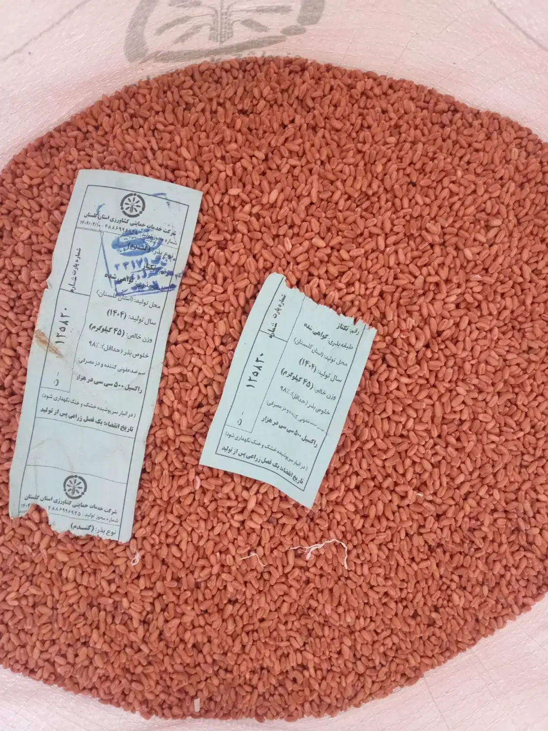 بذرگندم|گل و گیاه طبیعی|تاتار علیا, |دیوار