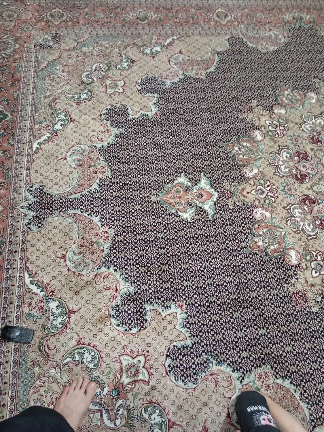 فرش|فرش|مشهد, طبرسی شمالی|دیوار