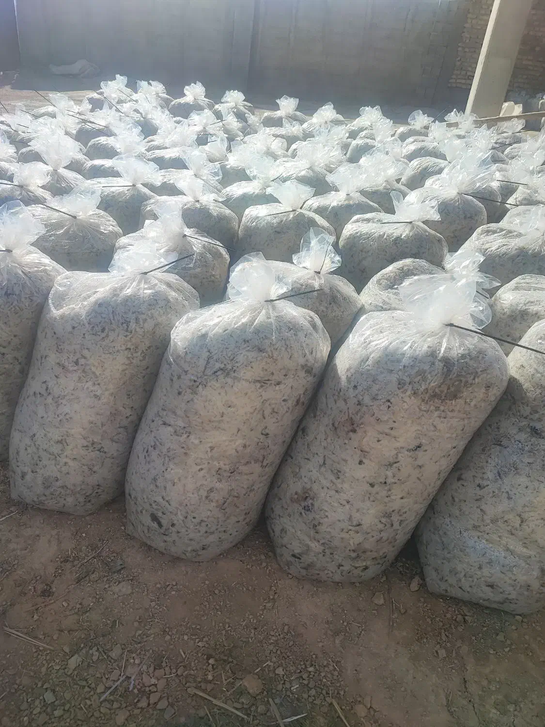 فروش تفاله تر چغندر بسته بندی وفله عمده وخورده|حیوانات مزرعه|اقلید, |دیوار