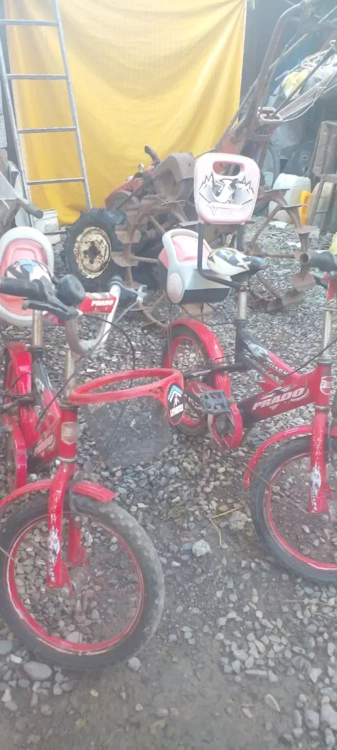 دوچرخه ۲ تا سالم پارادو|دوچرخه، اسکیت، اسکوتر|لاهیجان, بازکیاگوراب|دیوار