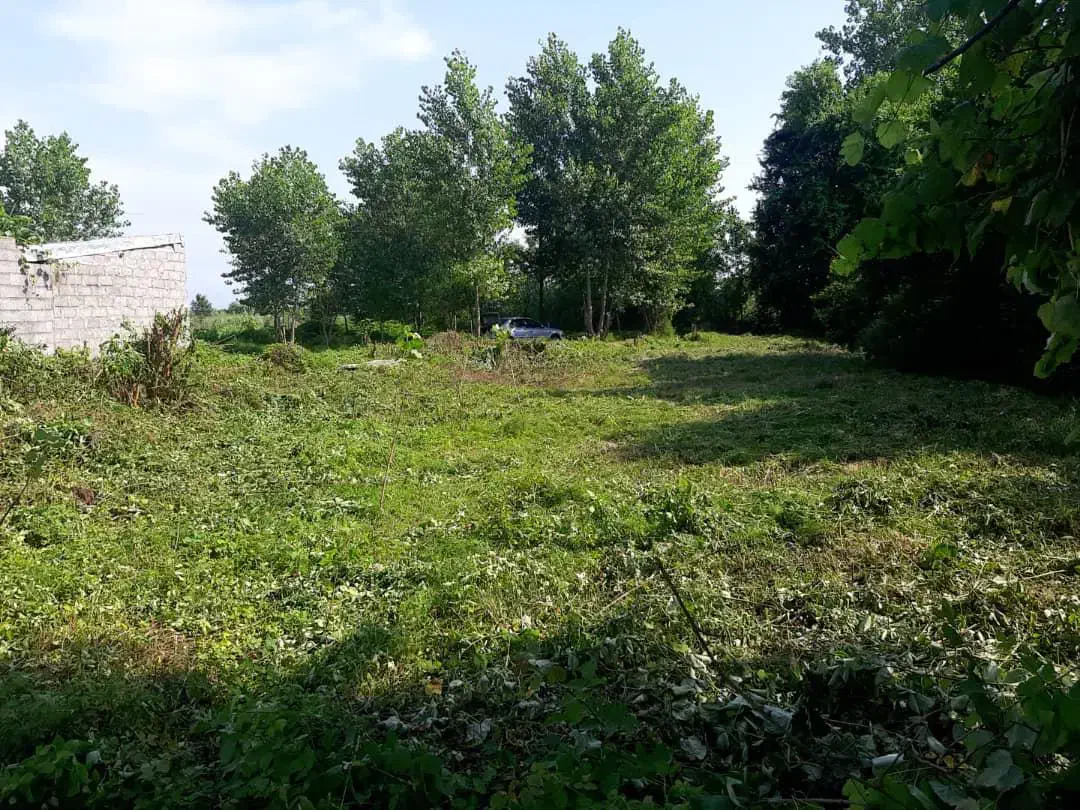 زمین باغی|فروش زمین و ملک کلنگی|رشت, جانبازان|دیوار