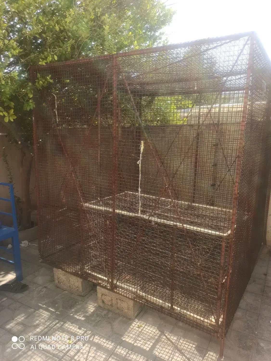 قفس گنجه 2در2|پرنده|شیراز, گلشن|دیوار