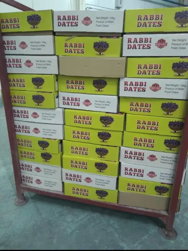 خرمای ربی بلوچستان|خوردنی و آشامیدنی|ایرانشهر, |دیوار