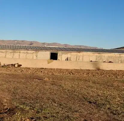 کارگر ماهر دامداری|استخدام سرایداری و نظافت|قوچان, |دیوار