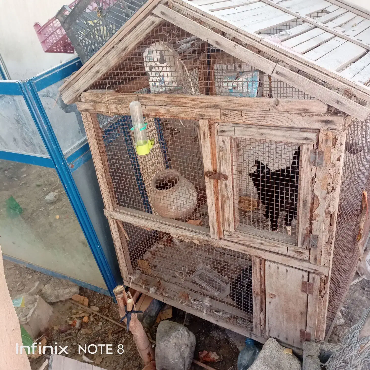 قفس چوبی بزرگ|لوازم جانبی حیوانات|چابهار, |دیوار