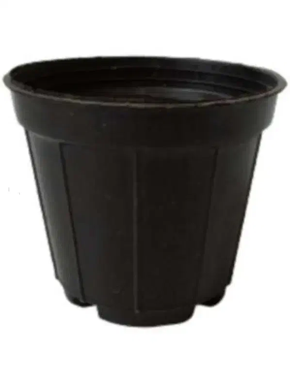 گلدان و بخاری ۲۵۰ انرژی و هواکش|گل و گیاه طبیعی|تهران, شهرک فردوس (حسینی)|دیوار