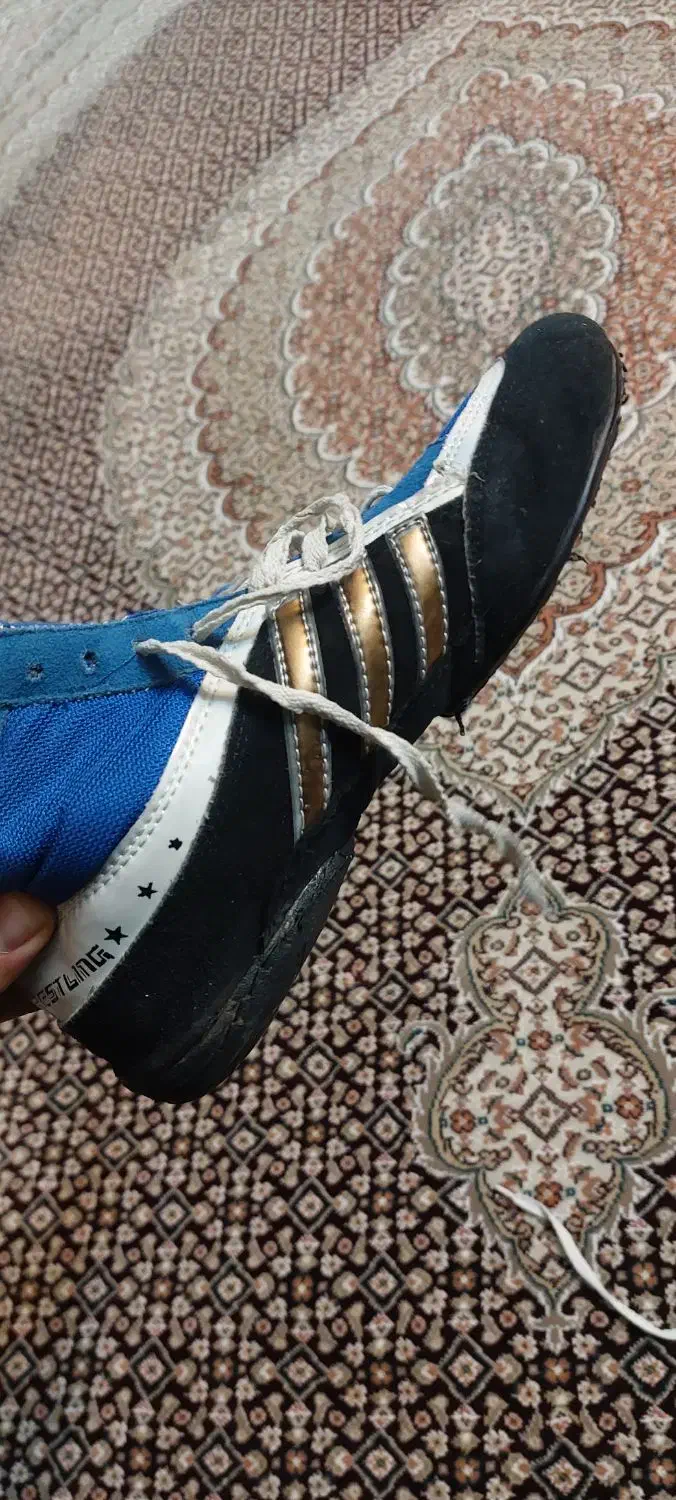 کفش کشتی|کیف، کفش، کمربند|اردبیل, |دیوار