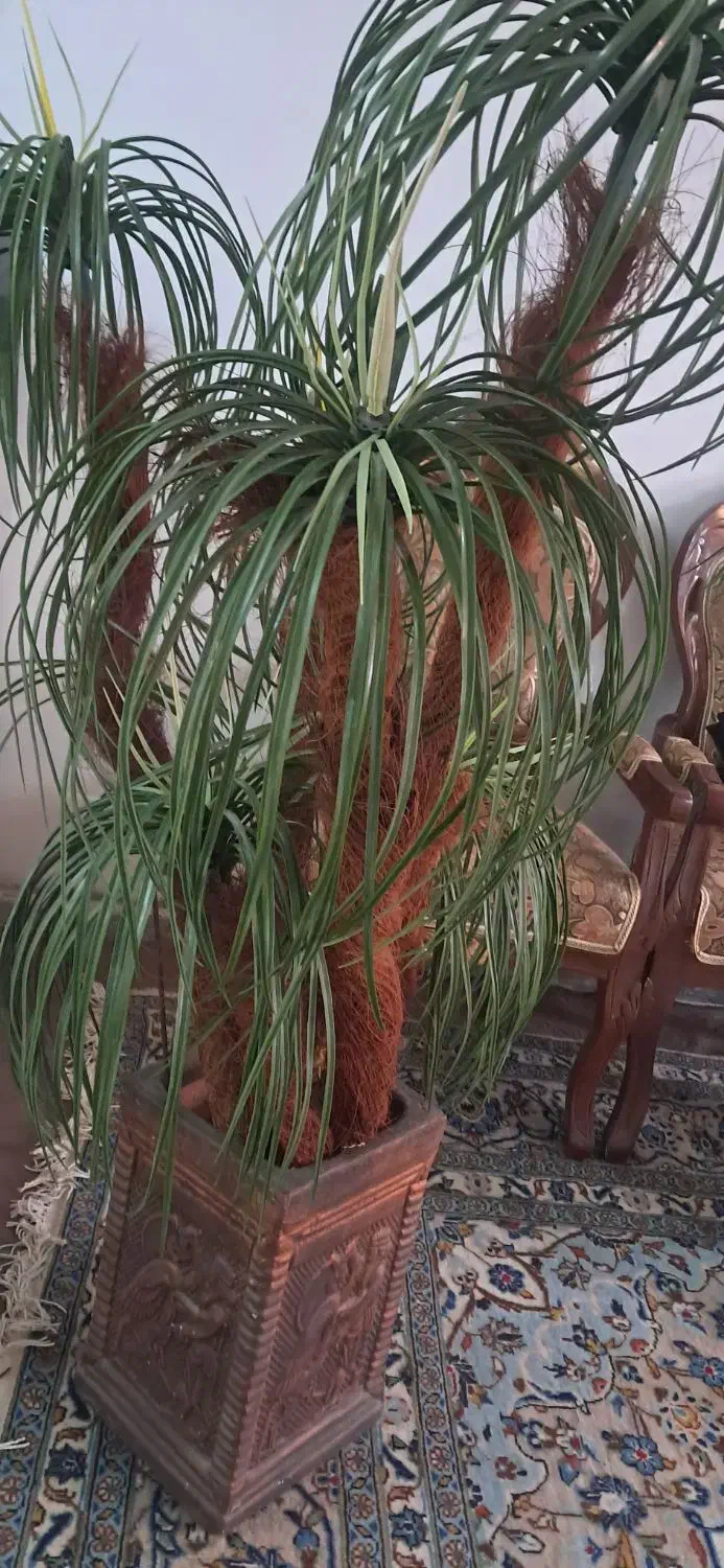 نخل مصنوعی|گل مصنوعی|اصفهان, جلالیه|دیوار