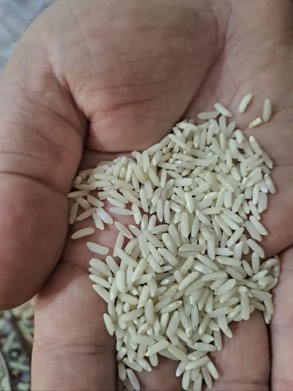 برنج پاکستانی سوپر باسماتی ساعی|خوردنی و آشامیدنی|قوچان, |دیوار