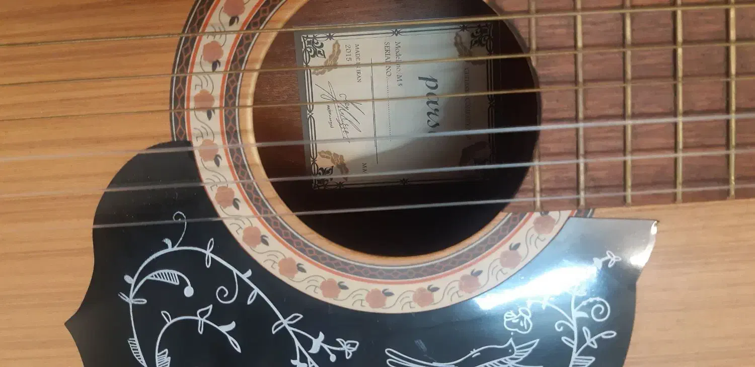 گیتار پارسی M5|گیتار، بیس، امپلیفایر|تهران, پرستار|دیوار