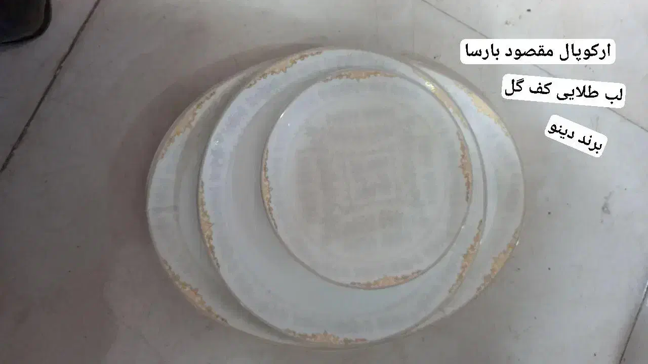 سرویس ارکوپال ۲۶ پارچه مقصود دینو قیمت عمده|ظروف سرو و پذیرایی|زنجان, |دیوار