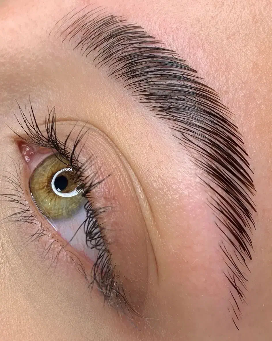 لیفت و لمینت ابرو و انجام اکستنشن مو|خدمات آرایشگری و زیبایی|رشت, منظریه|دیوار