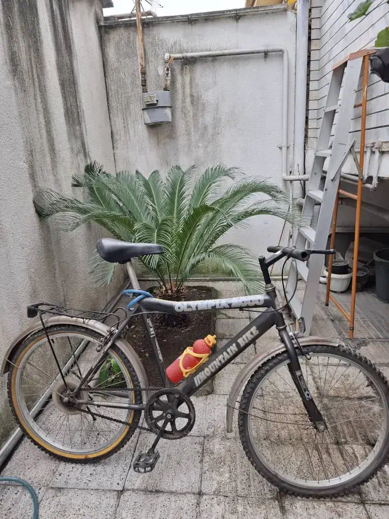 دوچرخه کوهستان|دوچرخه، اسکیت، اسکوتر|آمل, |دیوار