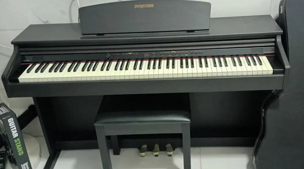 پیانو دیجیتال|پیانو، کیبورد، آکاردئون|پاکدشت, پاکدشت (مامازند)|دیوار