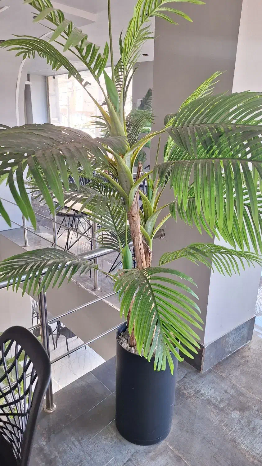 فروش گل تزئینی|گل مصنوعی|آستارا, |دیوار