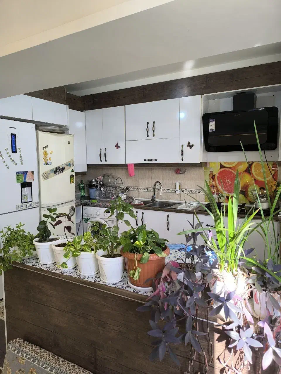 فروش آپارتمان 105 متری تک واحدی سید ساجدین|فروش آپارتمان|ابهر, |دیوار