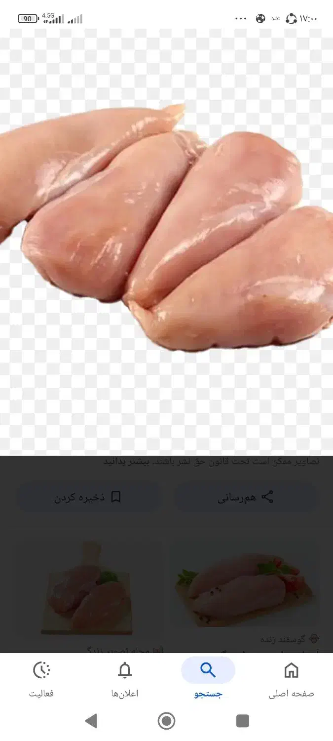 مرغ سمین درشت و ریز سینه دار با رستوران کبابی|خوردنی و آشامیدنی|رشت, نخودچر|دیوار