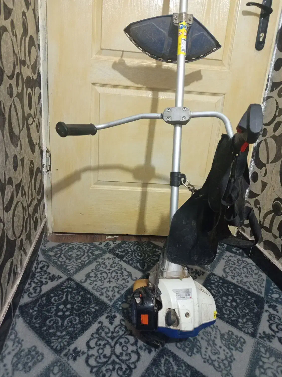 علف زن در حد|ابزارآلات|نهاوند, |دیوار