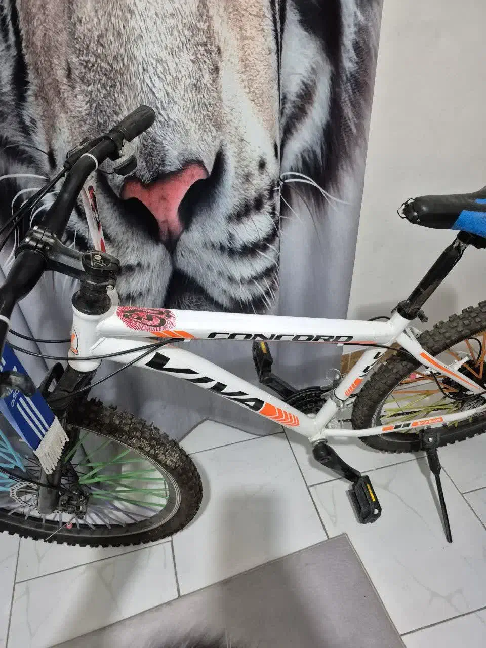 دوچرخه ۲۶|دوچرخه، اسکیت، اسکوتر|ملارد, |دیوار