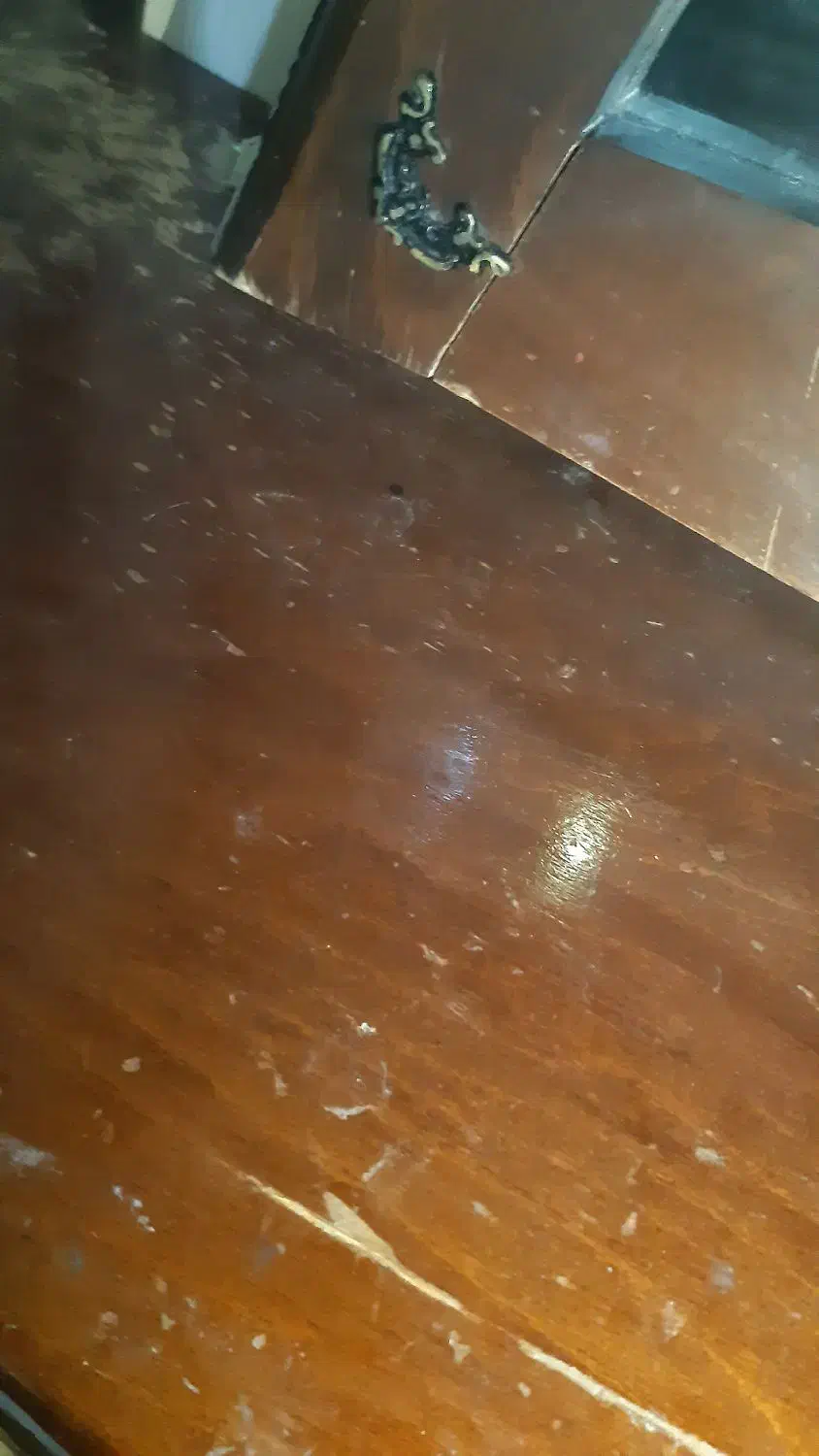 اینه|آینه|مشهد, شهید مطهری|دیوار