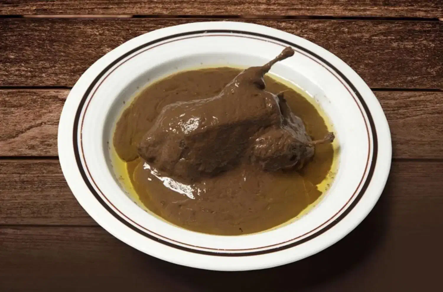 تخفیف ویژه سفارش غذا خونگی|حراج|رشت, گلسار|دیوار