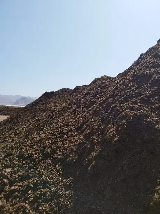 فروش کود گاوی،|عمدهفروشی|ماهدشت, |دیوار