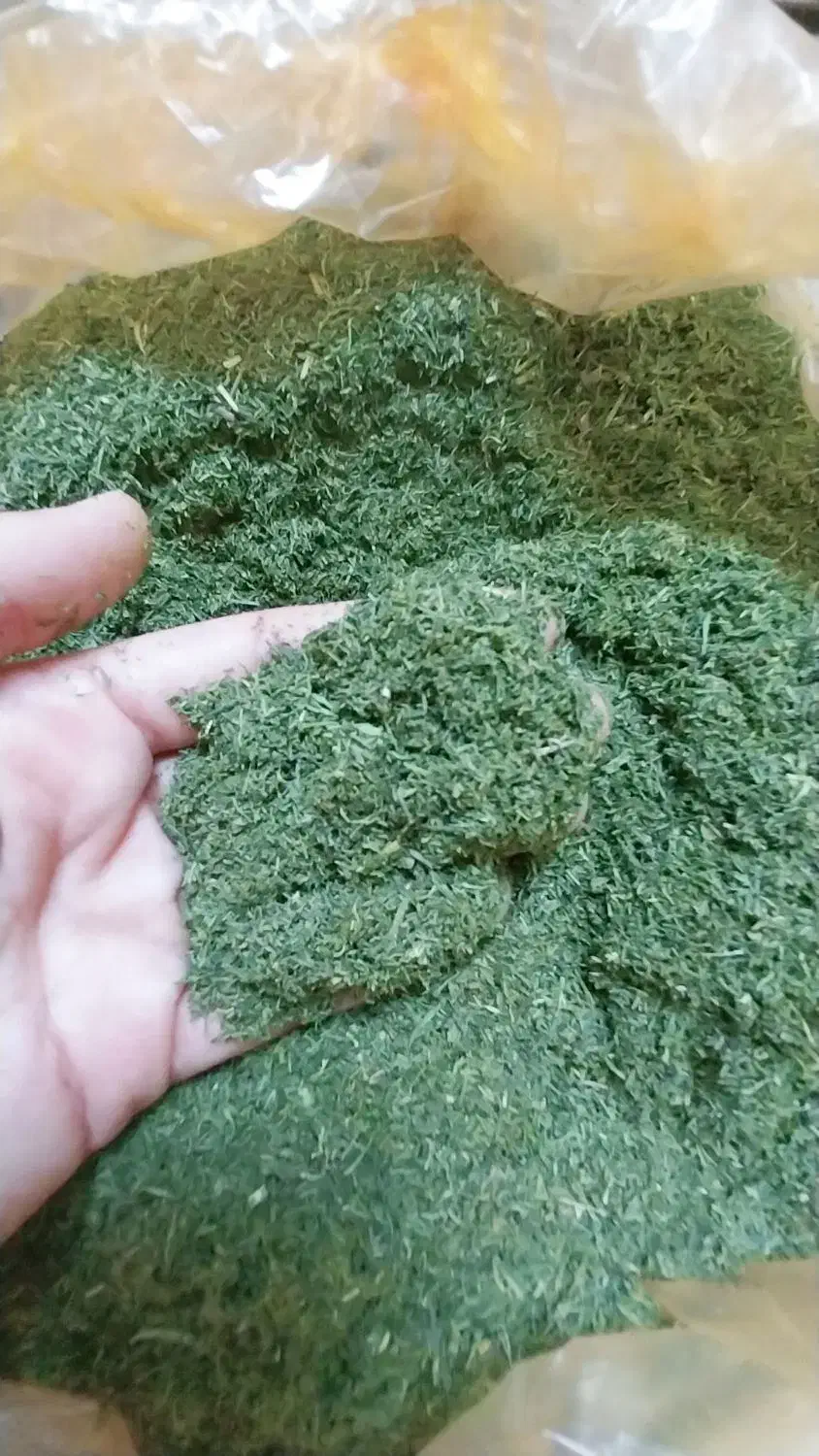 .شوید|خوردنی و آشامیدنی|تهران, یافت‌آباد|دیوار