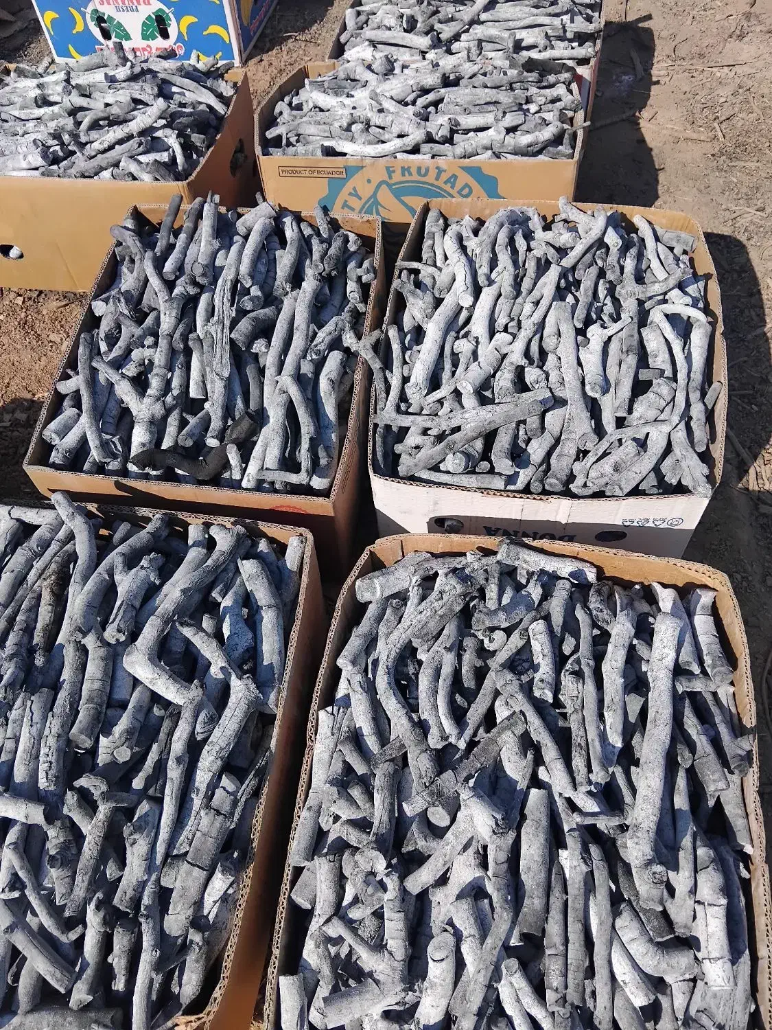 زغال پسته(سرشاخ-قلم)|عمده‌فروشی|سیرجان, |دیوار