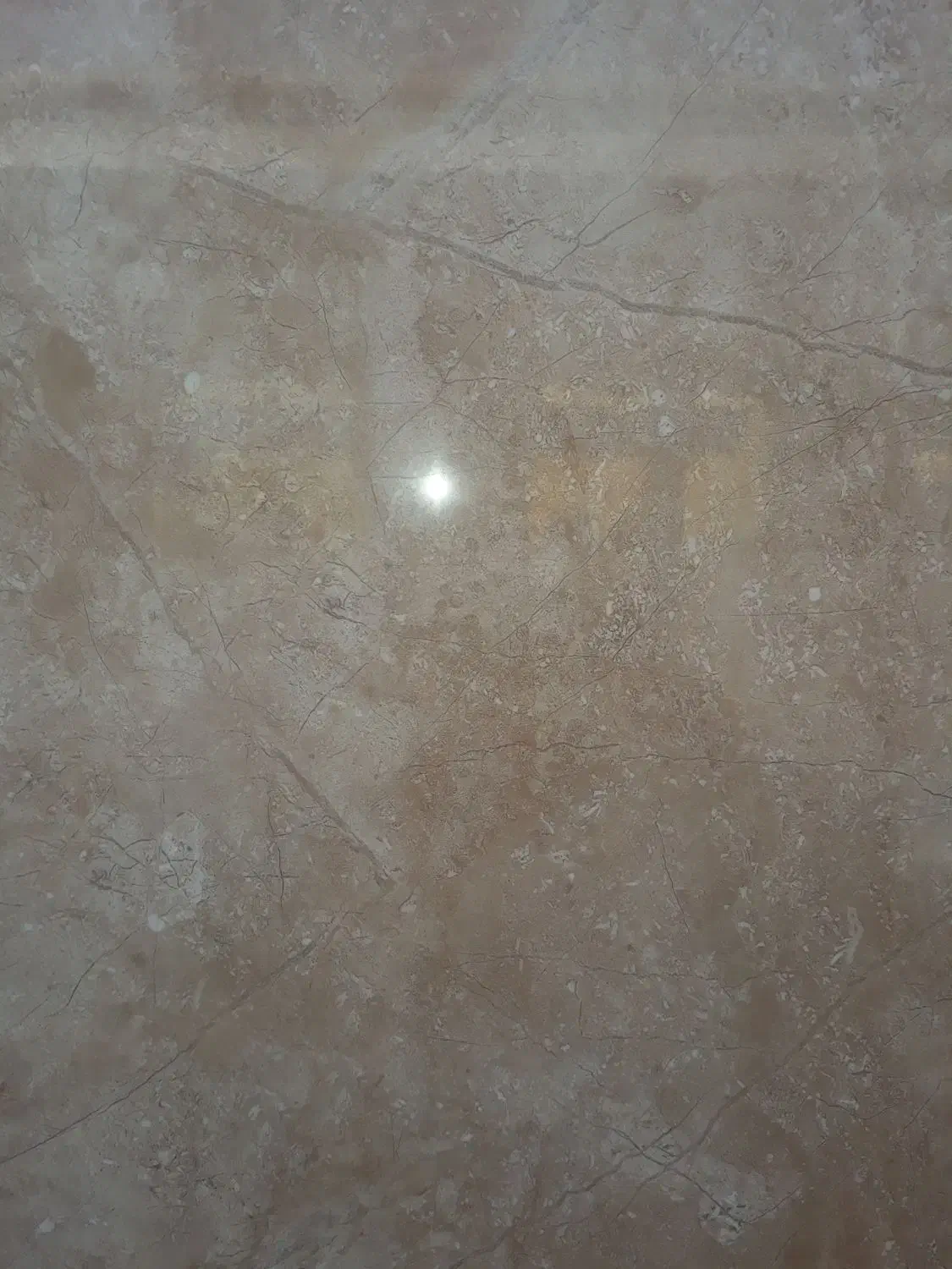 پنل آیفون تصویری تک واحدی|صوتی و تصویری|تهران, توحید|دیوار