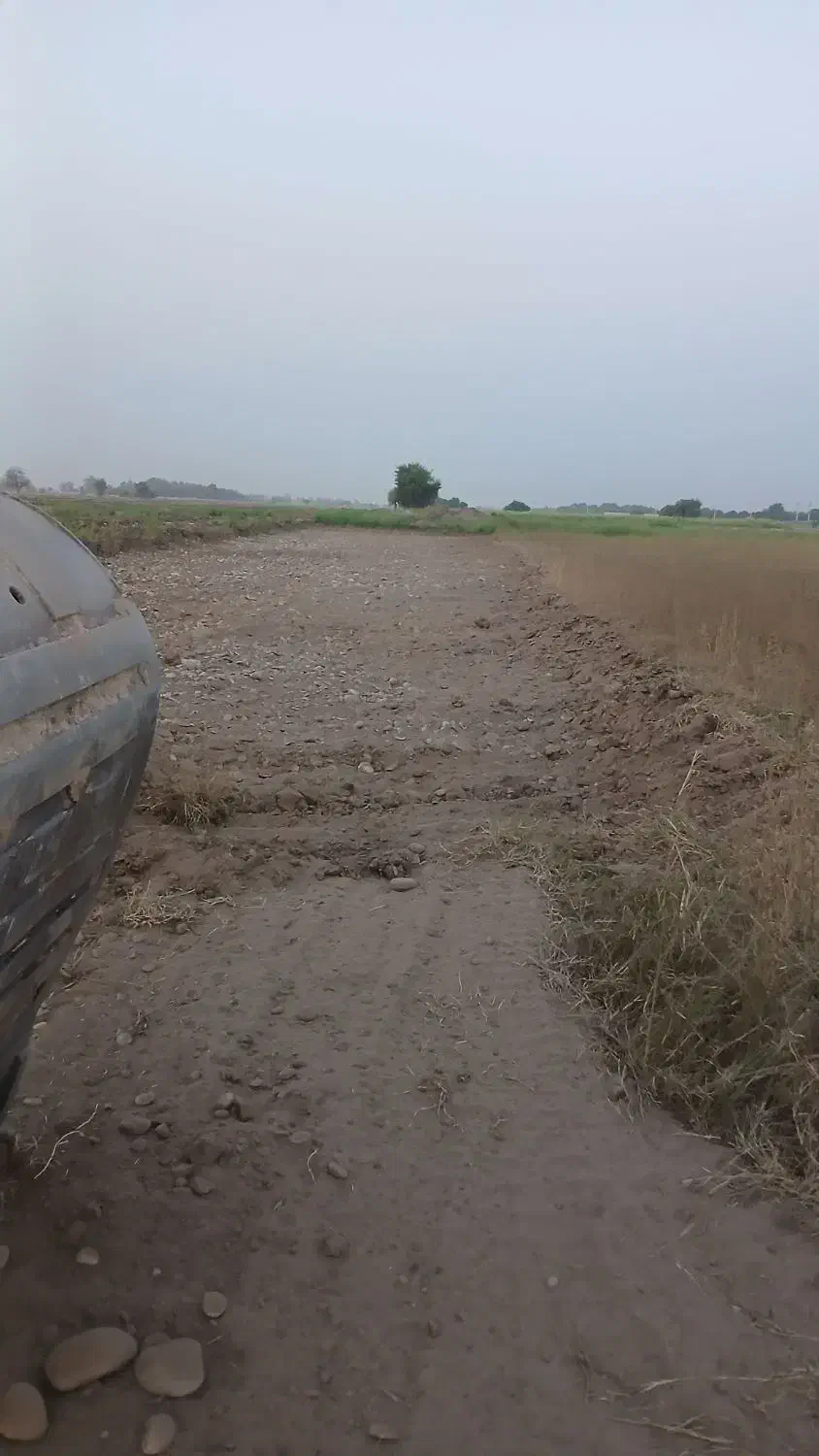 اجاره بیل|خدمات حمل و نقل|اندیمشک, |دیوار