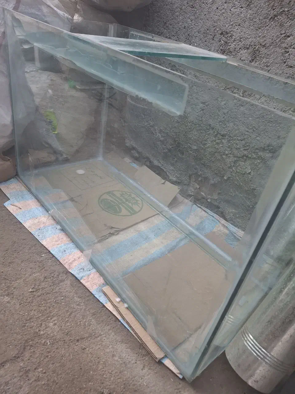 آکواریوم|ماهی|اردبیل, |دیوار